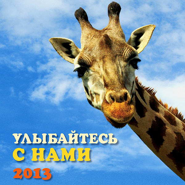   2013 